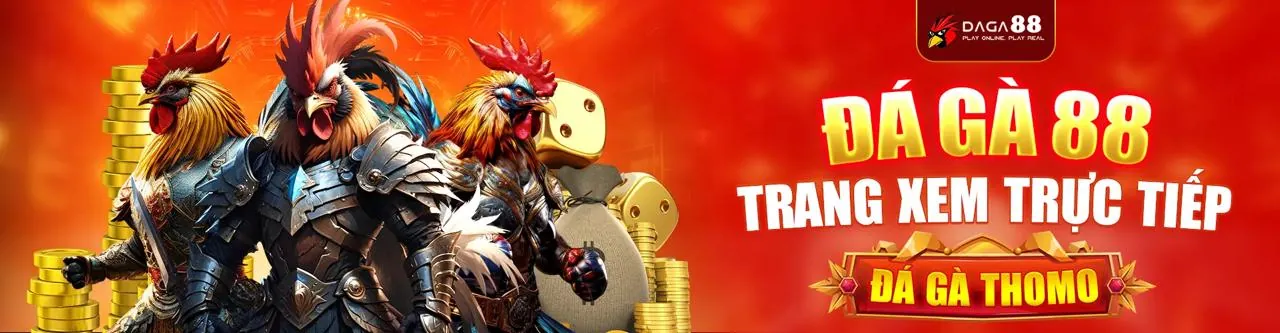 Đá gà trực tuyến HK88 trang chủ chính thức